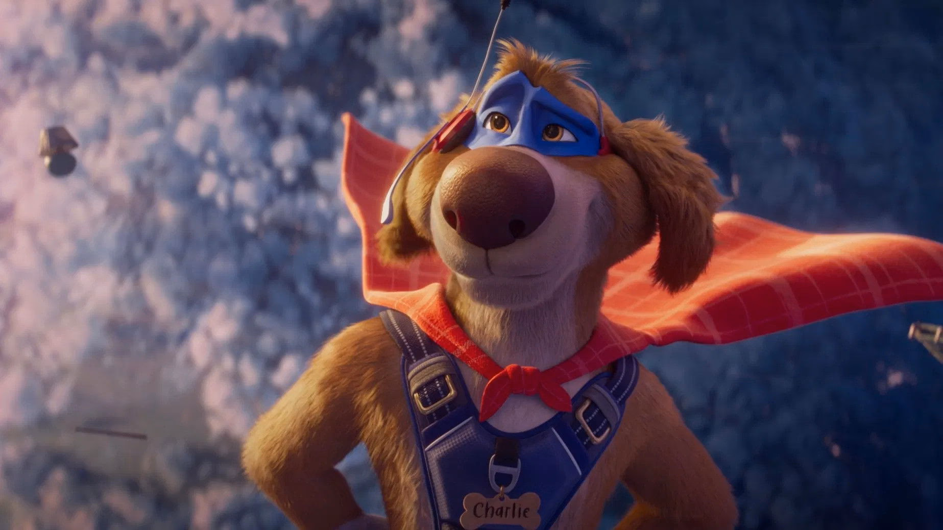 Superhunden Charlie