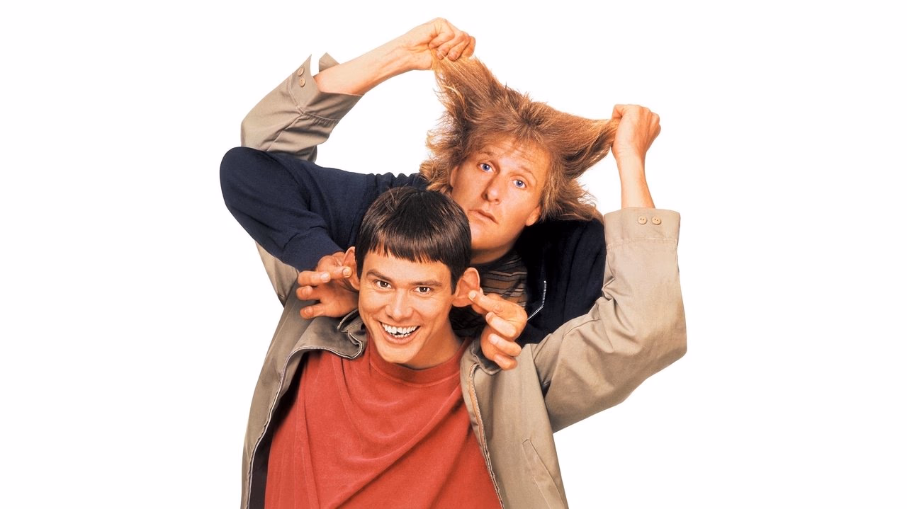 Dum & dummare